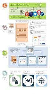 Infographic: The Best Newsletter