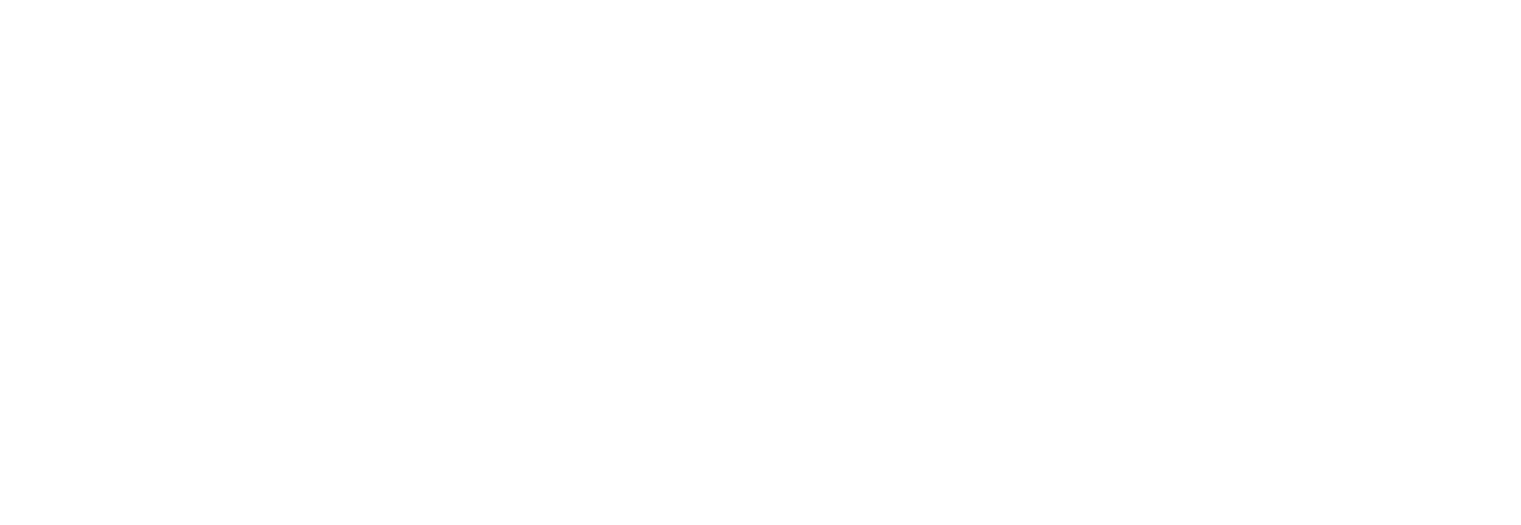 Exclusive Networks Logo